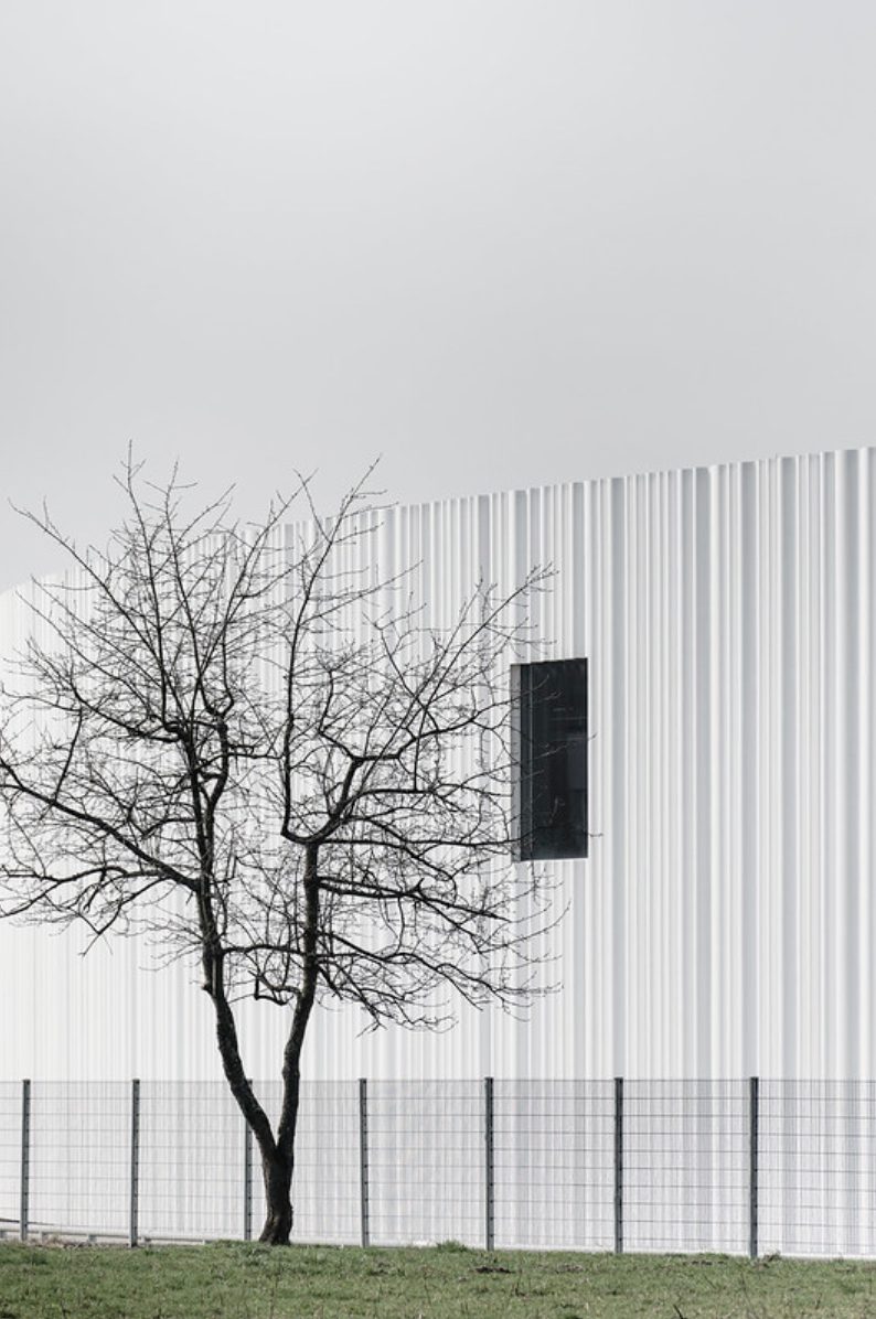 The window_5